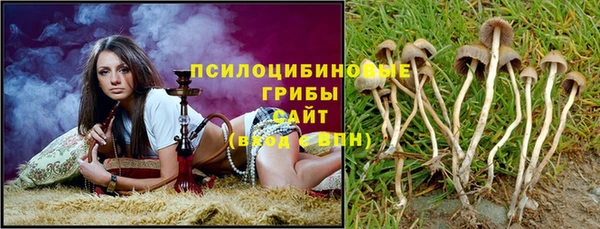 соль ск Алексин