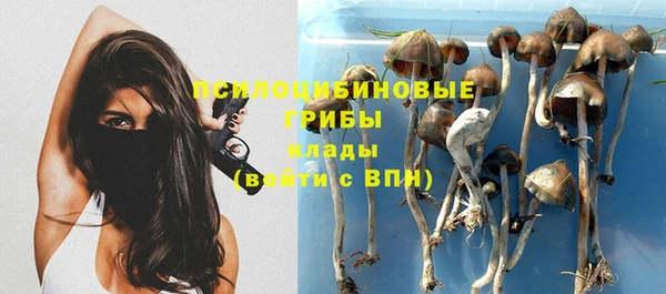соль ск Алексин