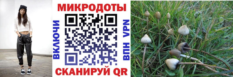 продажа наркотиков Липки Псилоцибиновые грибы GOLDEN TEACHER